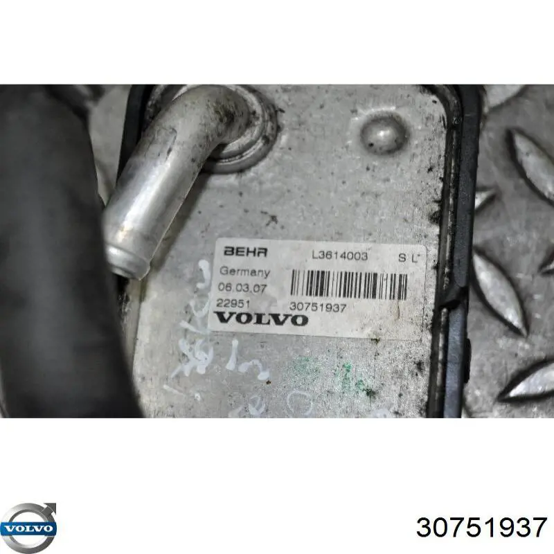 Comprar 30751937 Volvo Radiador de aceite