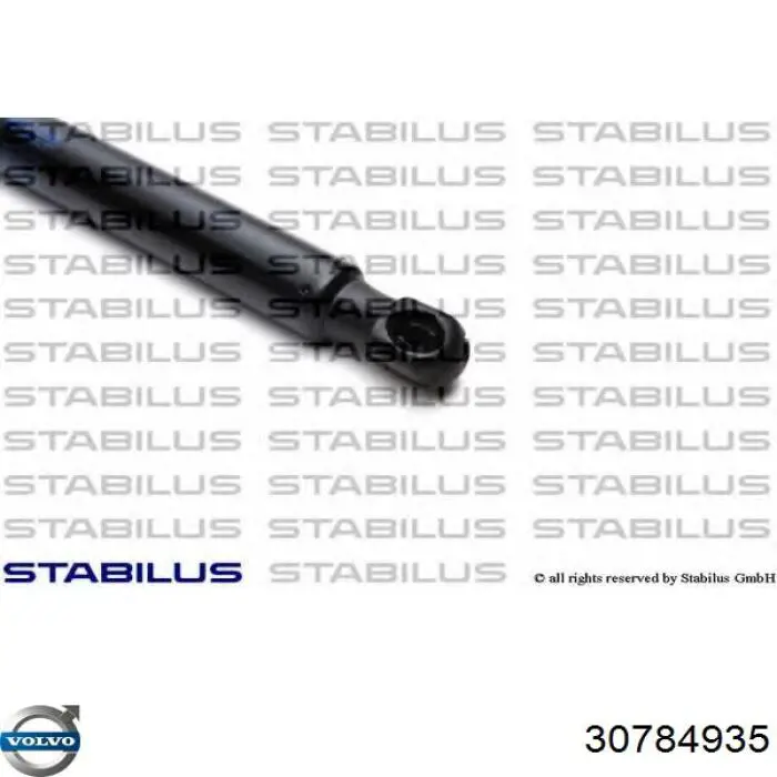 Muelle neumático de capó de motor Volvo 30784935