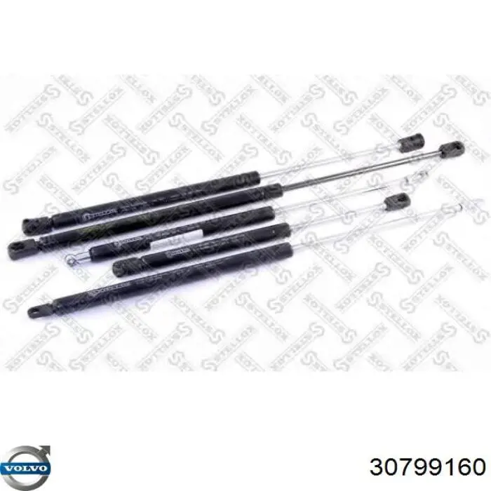 30799160 Volvo Amortiguador de porton