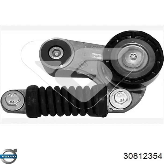 Tensor de la correa trapecial Volvo 30812354 precio, desde 119,96 EUR