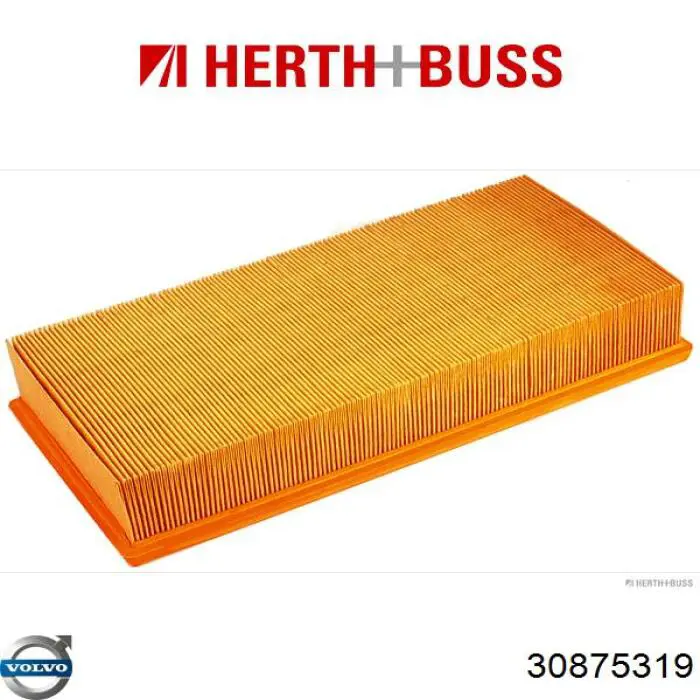 Filtro combustible Volvo 30875319 precio, desde 7,70 EUR