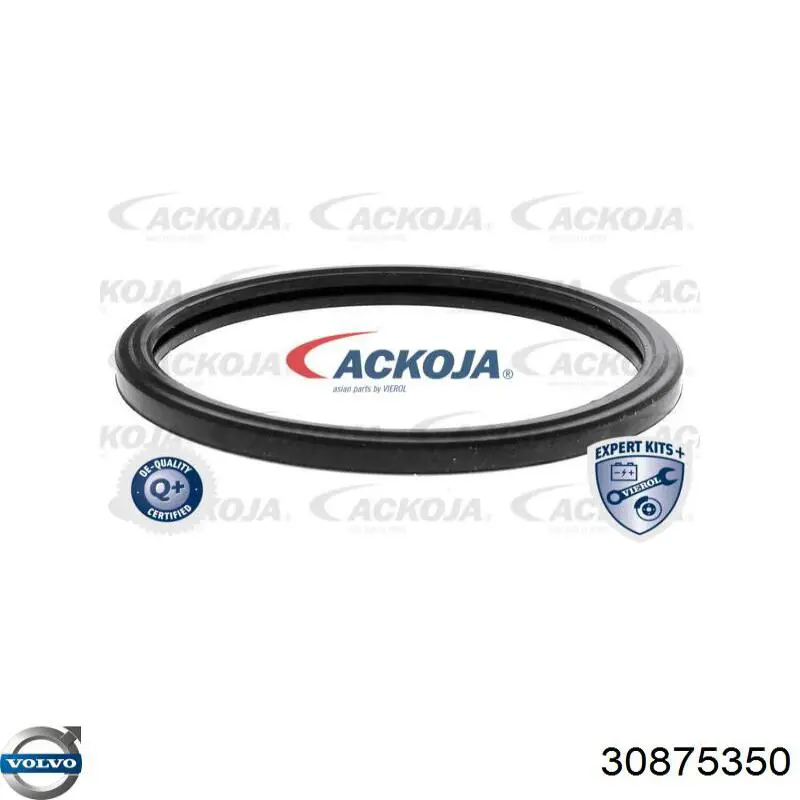Termostato 30875350 Volvo