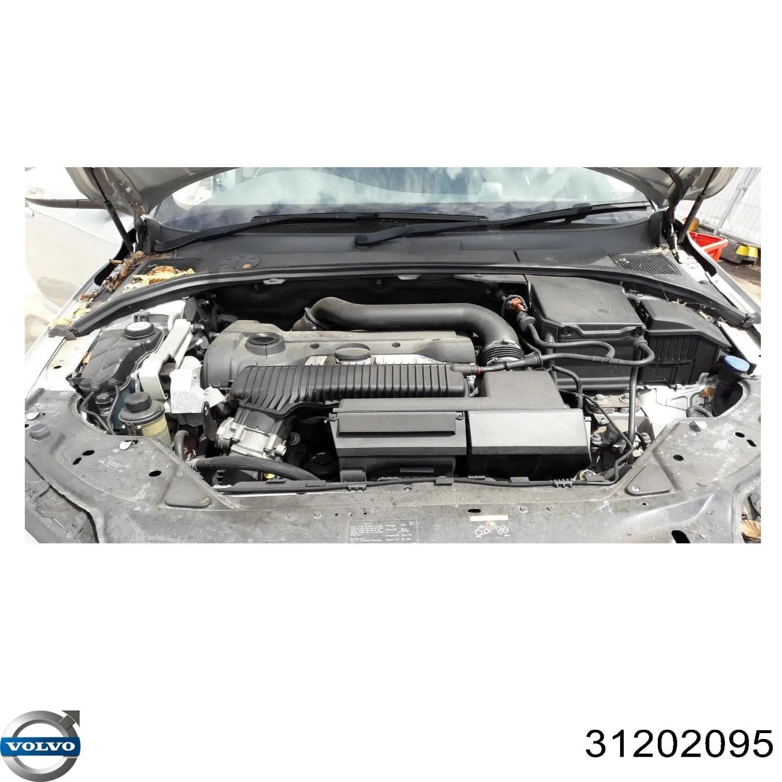 Bomba de dirección 31202095 Volvo