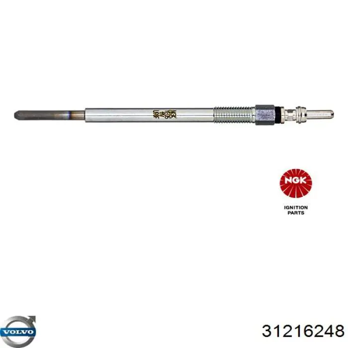 31216248 Volvo Bujías de calentamiento