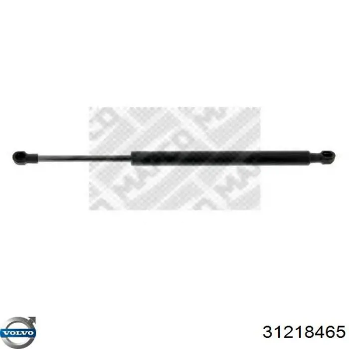Comprar GS0489 Magneti Marelli Amortiguador de puerta trasera