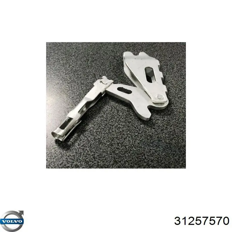 Comprar 31257570 Volvo Mecanismo expansor de las zapatas del freno de estacionamiento