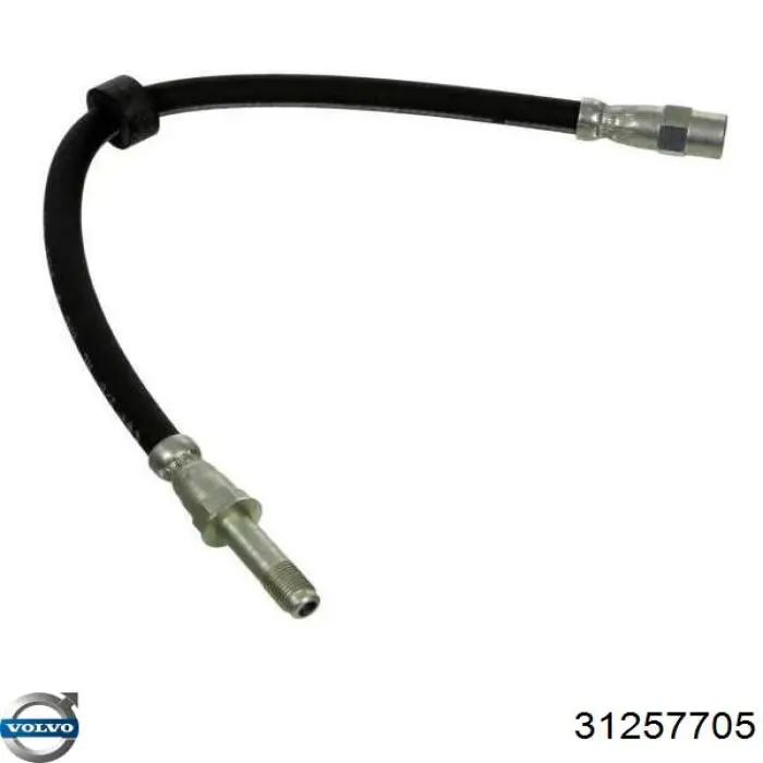 Latiguillos de freno delantero 31257705 Volvo