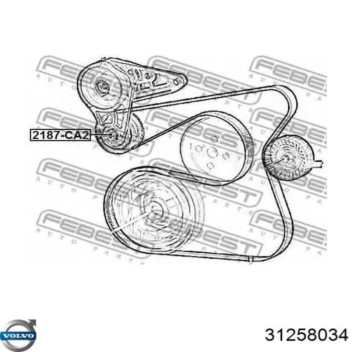 31258034 Volvo Tensor de correa de alternador