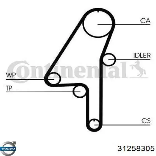 31258305 Volvo Kit correa de distribución
