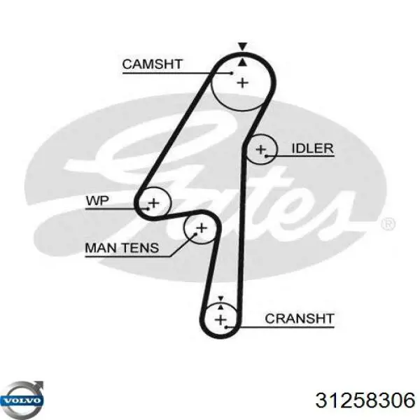 31258306 Volvo correa distribucion