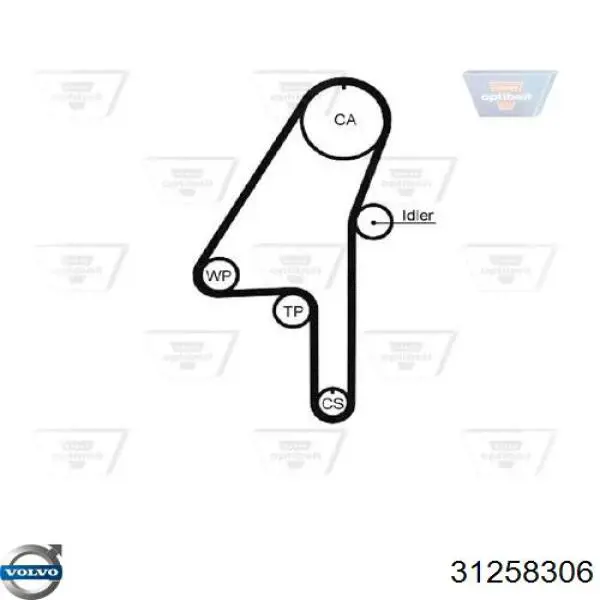 Comprar 31258306 Volvo Correa distribución
