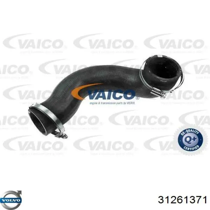 31261371 Volvo tubo flexible de aire de sobrealimentación derecho