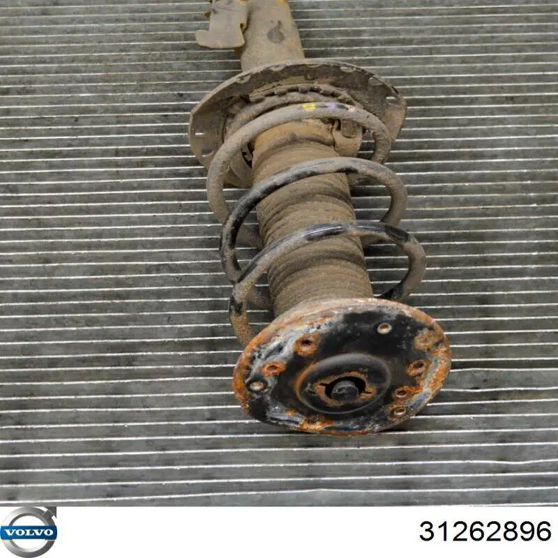Amortiguador delantero derecho Volvo 31262896 precio, desde 57,85 EUR