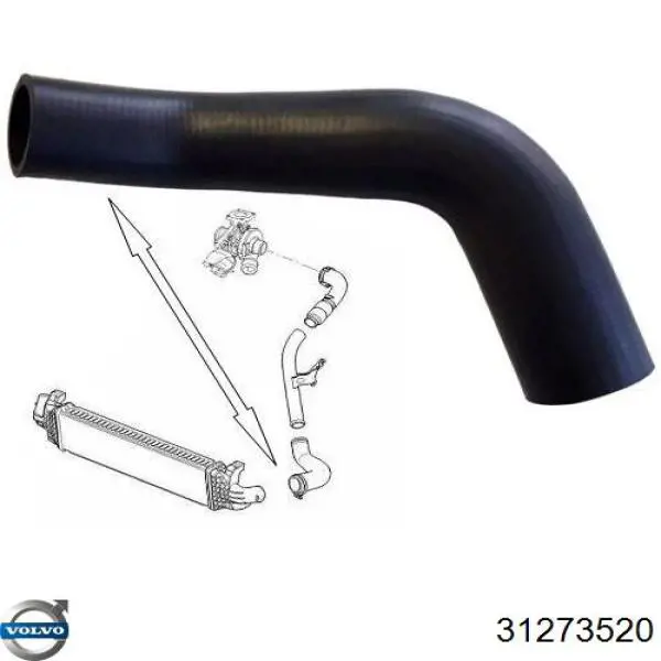Manguera del intercooler Volvo 31273520 precio, desde 39,69 EUR