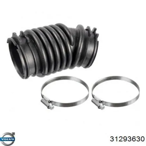 Conducto de aire, salida del filtro de aire Volvo 31293630 precio, desde 33,00 EUR