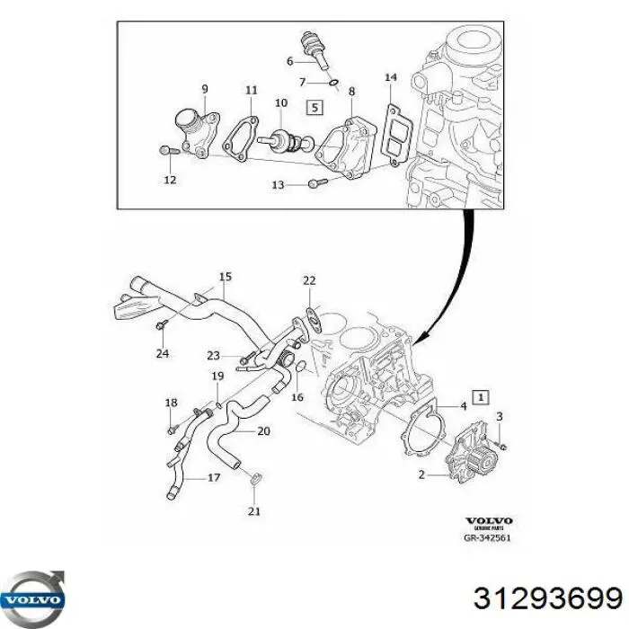 Comprar 31293699 Volvo Termostato