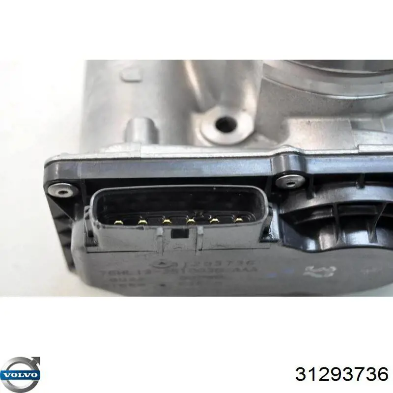 Cuerpo de mariposa 31293736 Volvo