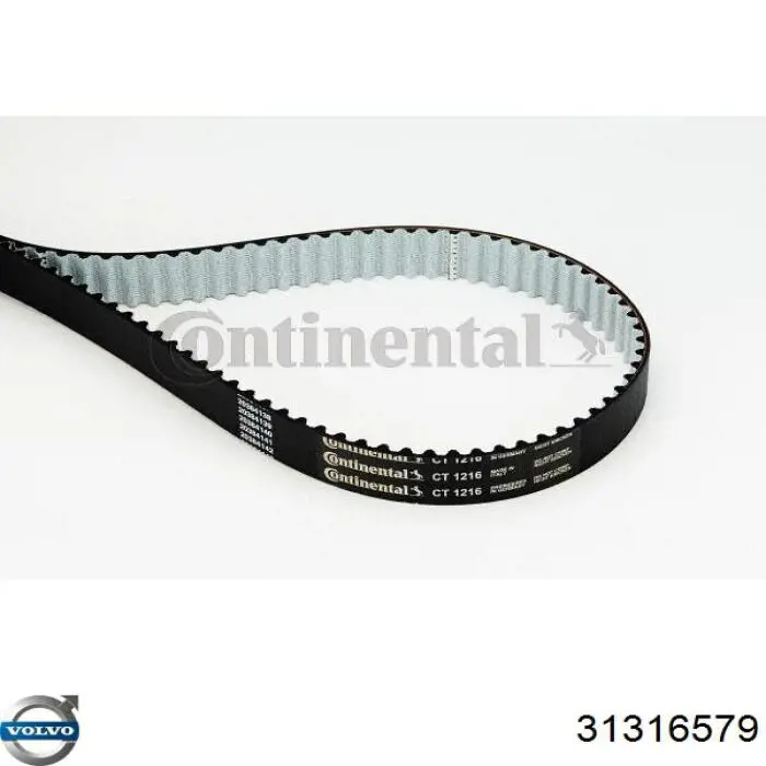 Comprar 31316579 Volvo Correa distribución