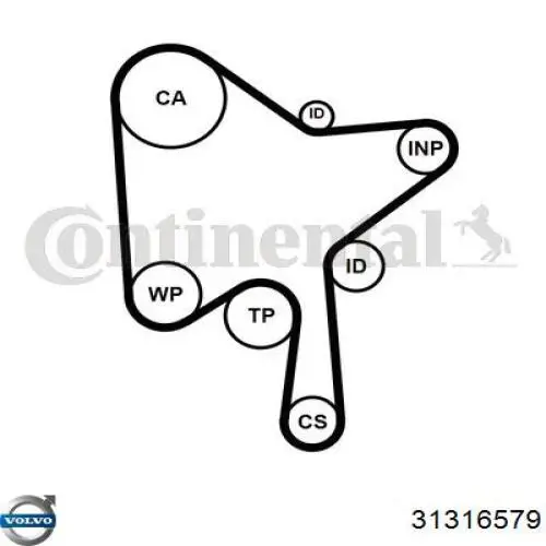 31316579 Volvo correa distribucion