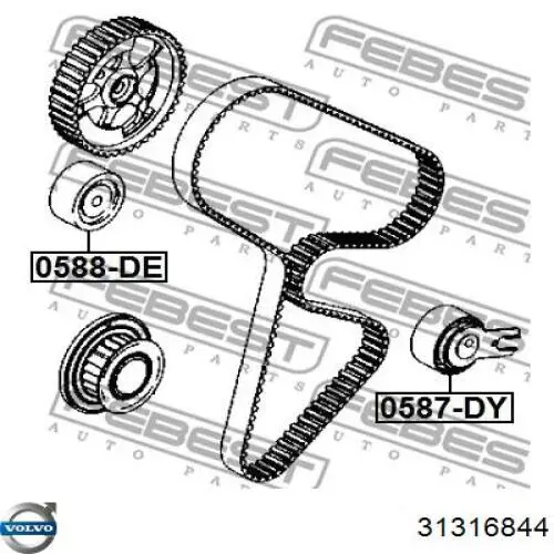 Tensor de la correa de distribución Volvo 31316844 precio, desde 20,99 EUR