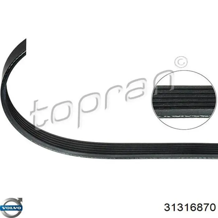 Correa de transmisión trapezoidal Volvo 31316870 precio, desde 5,79 EUR