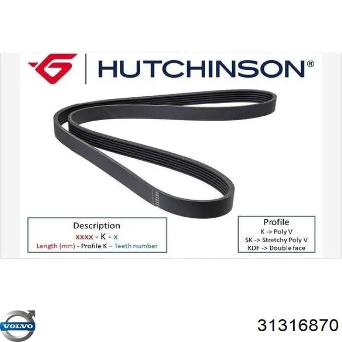 Comprar 31316870 Volvo Correa trapezoidal