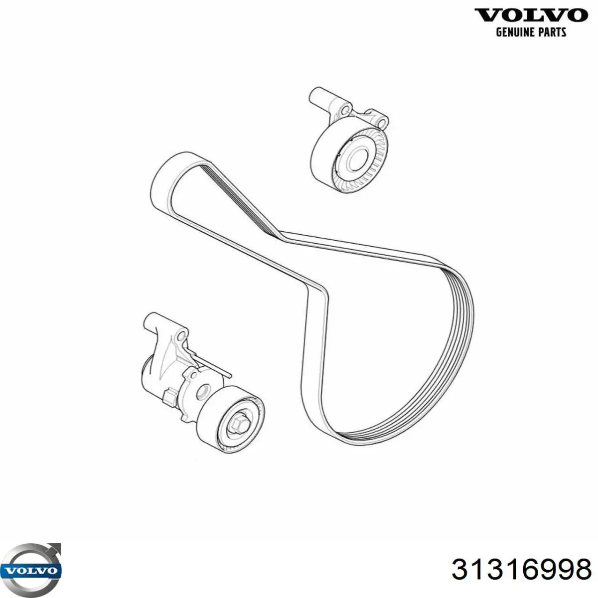 31316998 Volvo correa trapezoidal