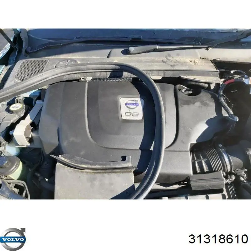 Módulo del freno de estacionamiento electromecánico Volvo 31318610 precio, desde 135,04 EUR