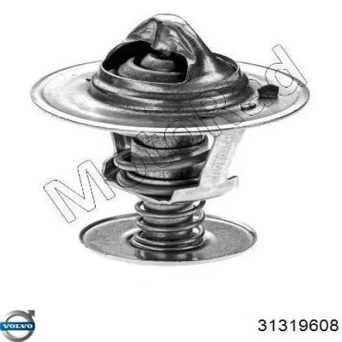 Termostato 31319608 Volvo