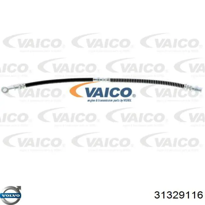 Latiguillos de freno delantero Volvo 31329116 precio, desde 13,58 EUR