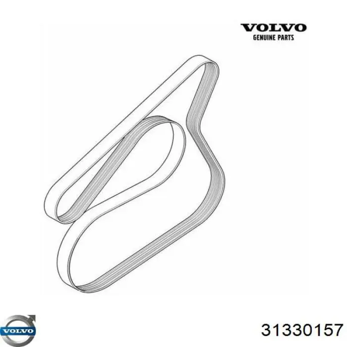 31330157 Volvo correa trapezoidal