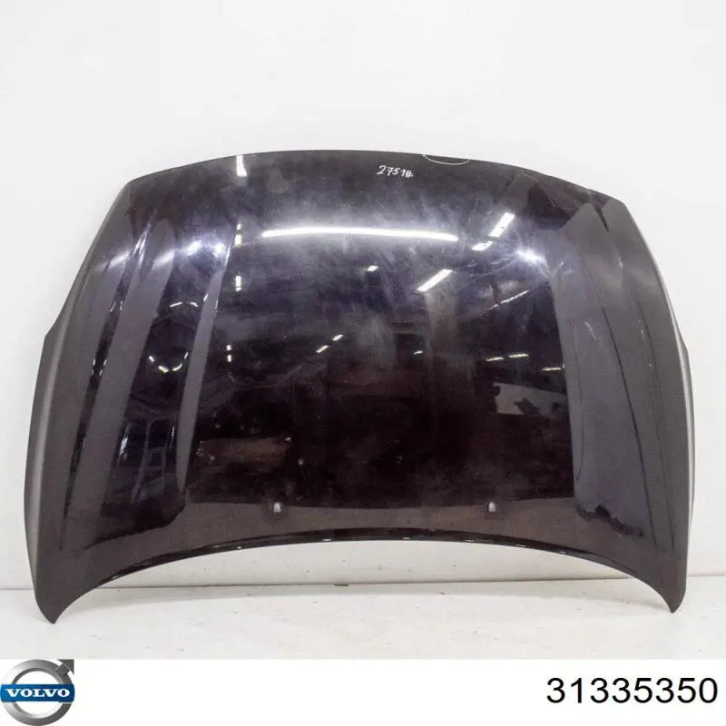 Comprar 31335350 Volvo Capó