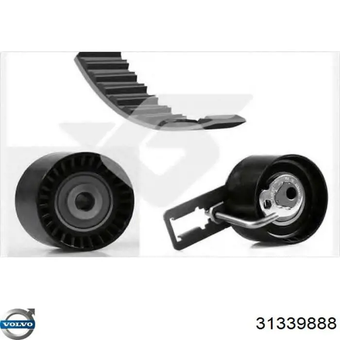 Juego de correas dentadas Volvo 31339888 precio, desde 77,86 EUR