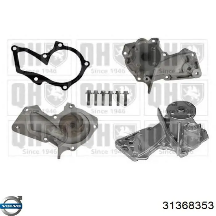 Bombeadora de agua Volvo 31368353 precio, desde 39,23 EUR