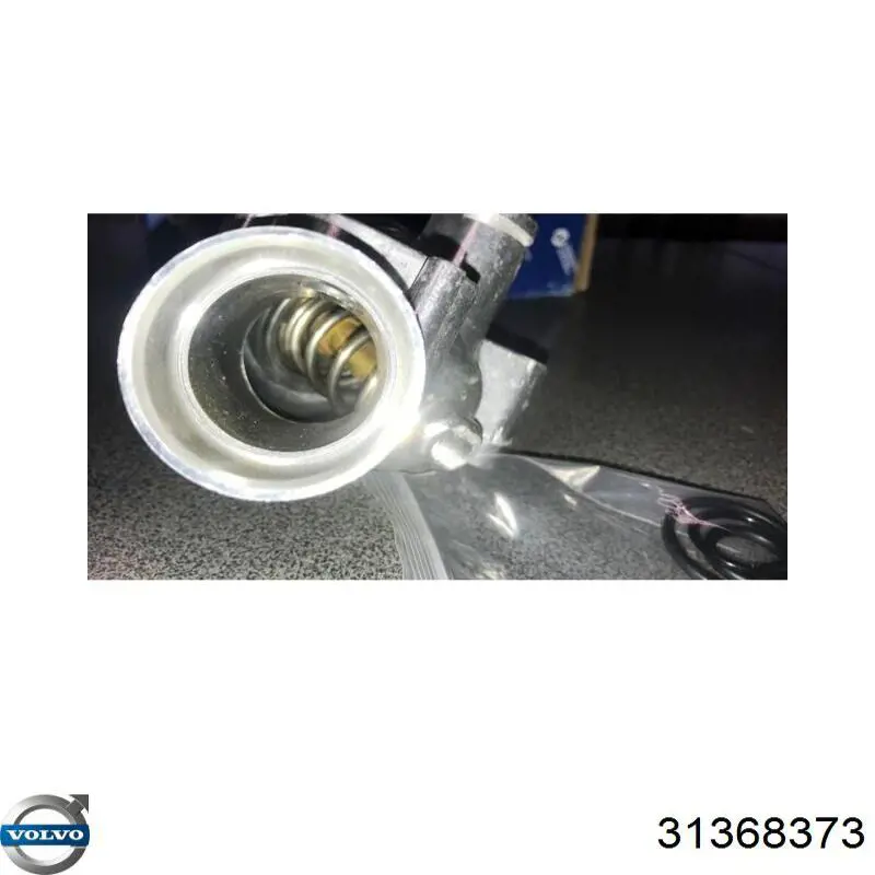 Termostato 31368373 Volvo