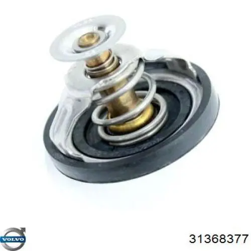 Termostato 31368377 Volvo