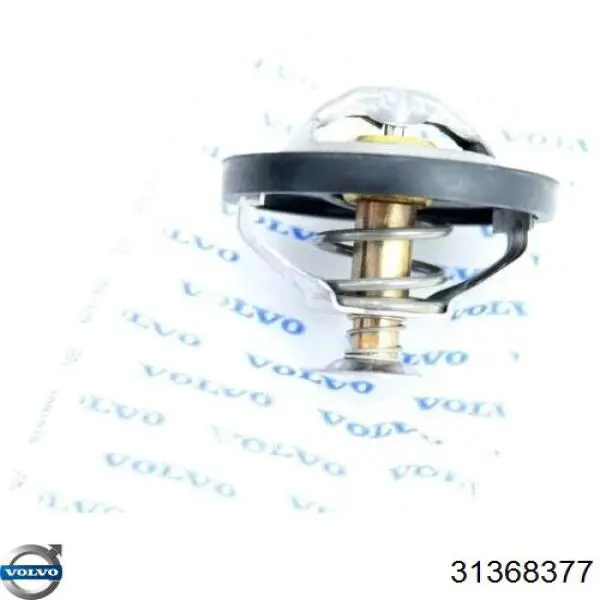 Termostato Volvo 31368377 precio, desde 14,29 EUR