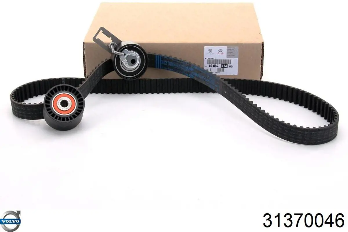 31370046 Volvo Kit correa de distribución