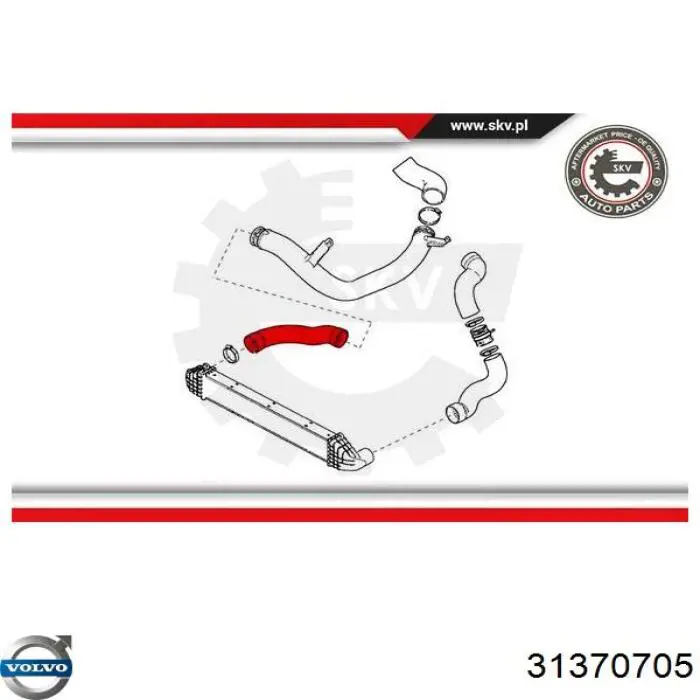 Comprar 31370705 Volvo Tubo intercooler