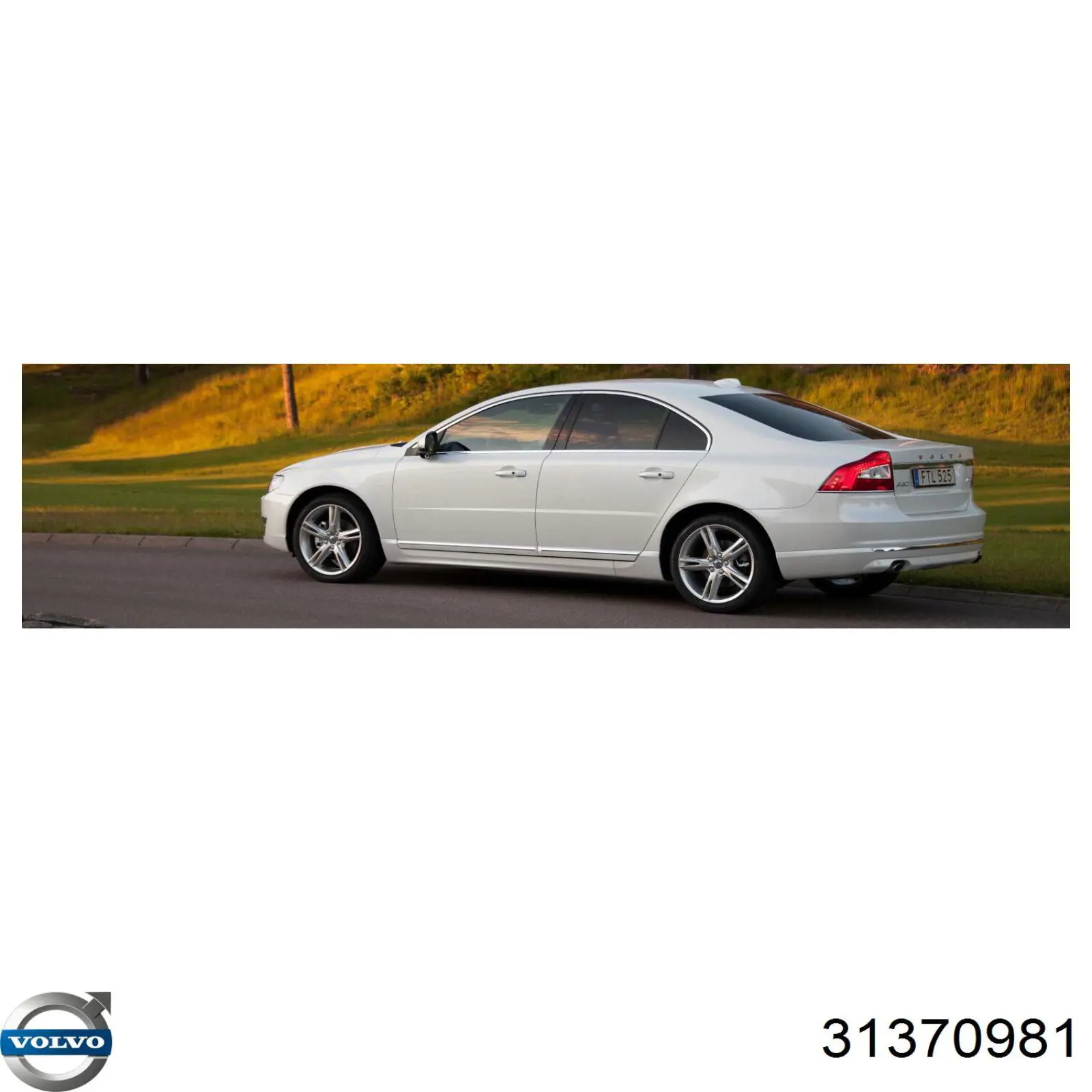 Comprar 31370981 Volvo Junta de válvula EGR