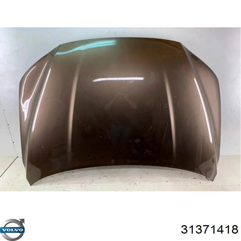 Capó del motor Volvo 31371418 precio, desde 514,01 EUR
