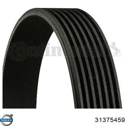 31375459 Volvo Correa poly v