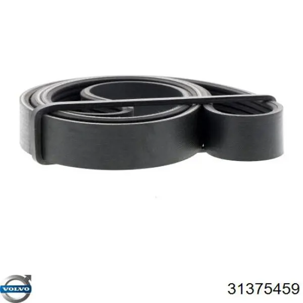 Correa de transmisión trapezoidal Volvo 31375459 precio, desde 32,62 EUR