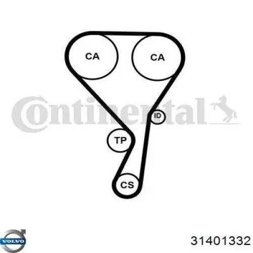 31401332 Volvo correa distribucion