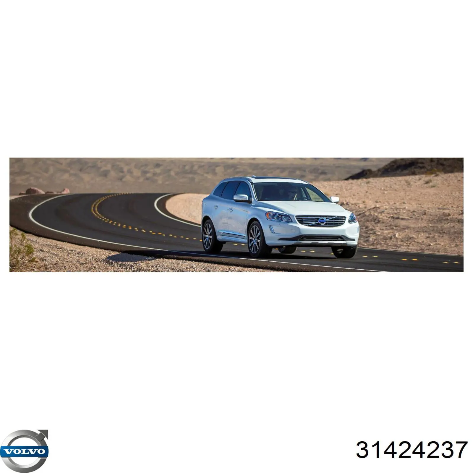 Cristal de espejo retrovisor exterior izquierdo 31424237 Volvo