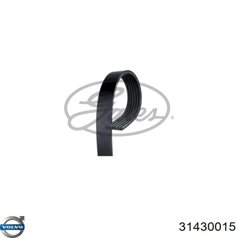 31430015 Volvo Correa poly v