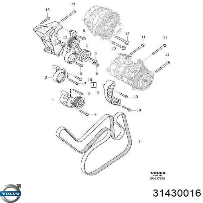 31430016 Volvo Correa poly v