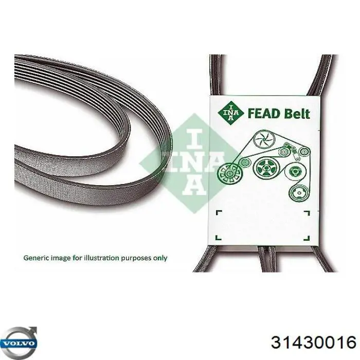 Correa de transmisión trapezoidal Volvo 31430016 precio, desde 30,11 EUR