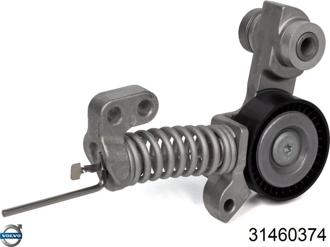 Tensor de la correa trapecial Volvo 31460374 precio, desde 68,24 EUR