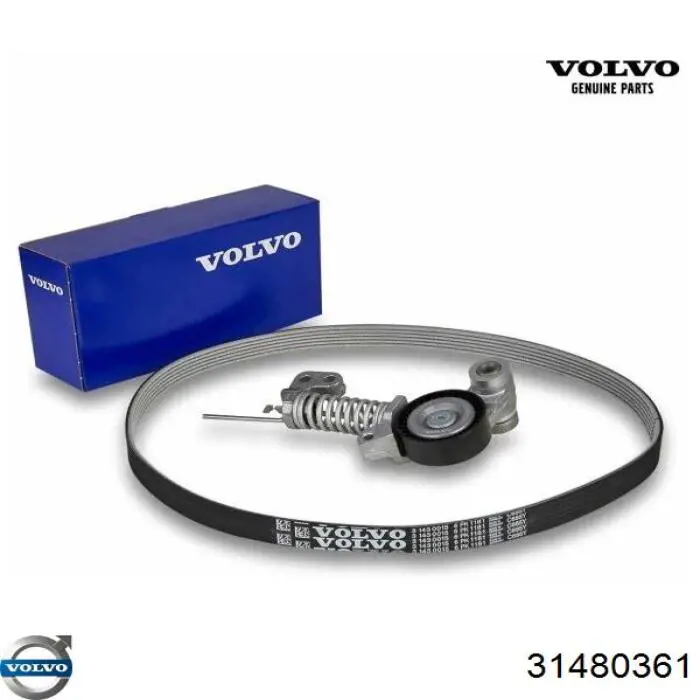 Correa de transmisión, juego Volvo 31480361 precio, desde 86,71 EUR